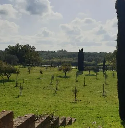 Casale Di Befania Holiday home *