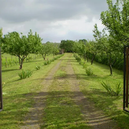 Casale Di Befania * Vetralla